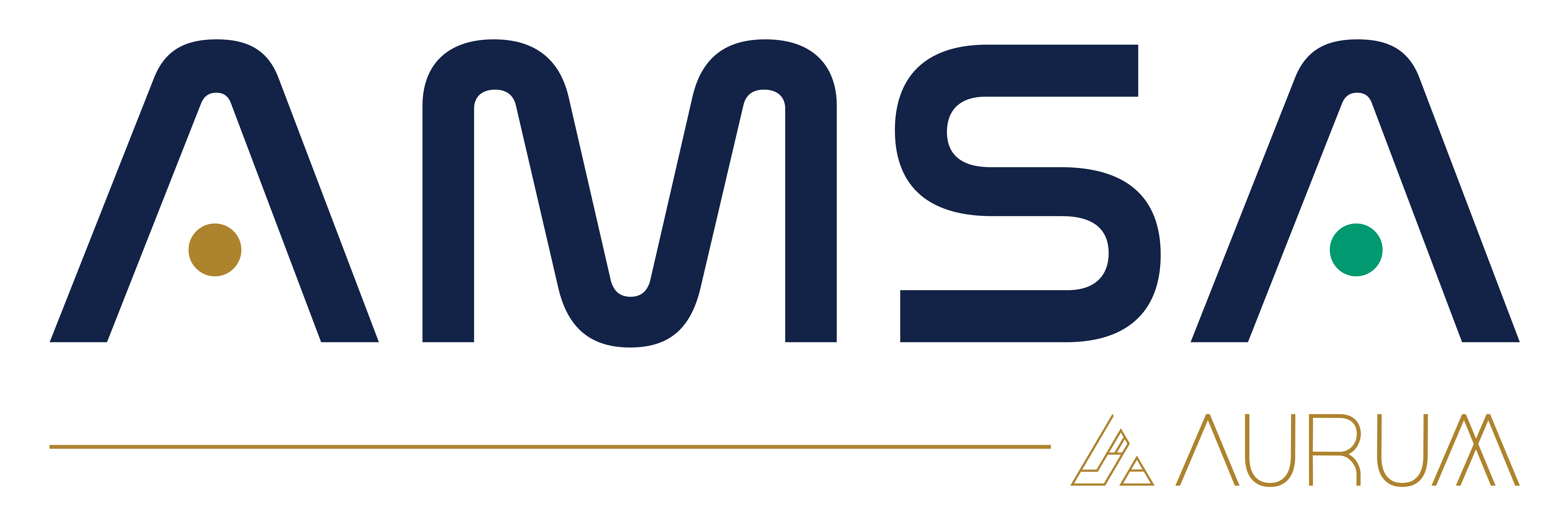 amsa-logo